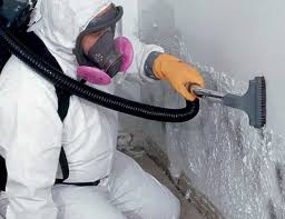 Best Black Mold Removal in Atmore, AL